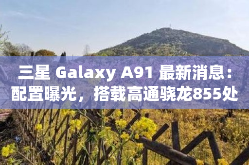 三星 Galaxy A91 最新消息：配置曝光，搭载高通骁龙855处理器-图1