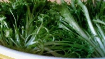 菊花菜的做法,菊花菜怎么做好吃又简单-图3