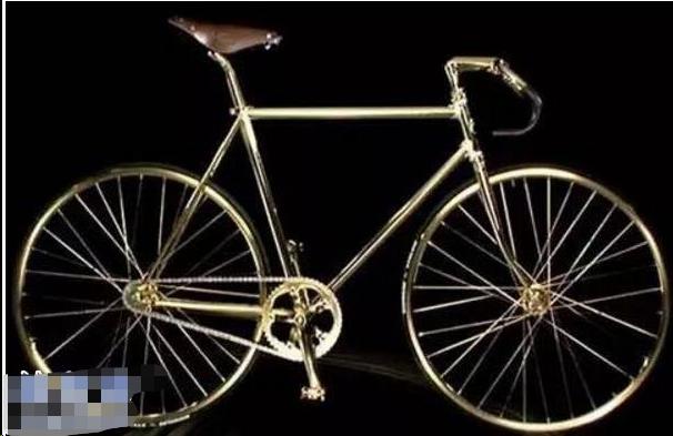世界最贵的自行车是什么牌子（最昂贵的自行车多少钱）-图4