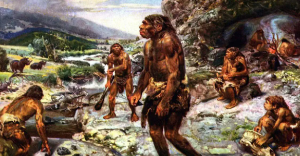 人类祖先是什么动物（人类祖先是鱼还是猿人）-图3