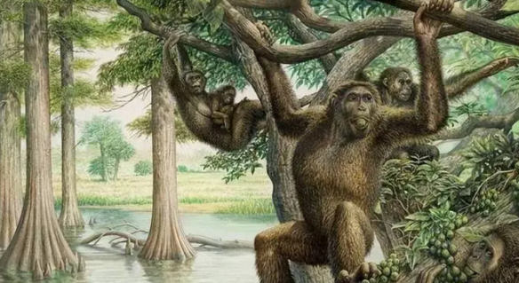 人类祖先是什么动物（人类祖先是鱼还是猿人）-图2