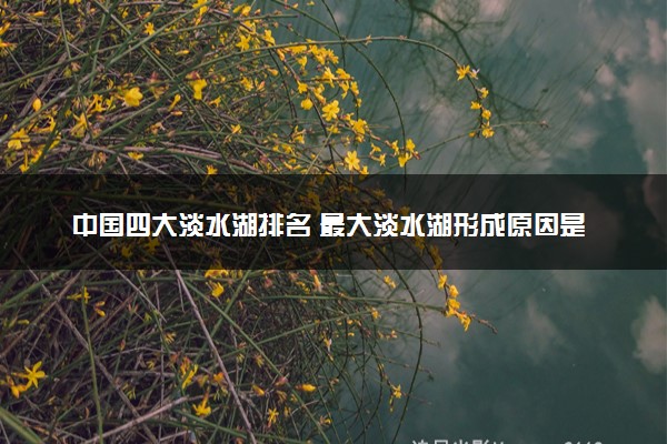 中国四大淡水湖排名 最大淡水湖形成原因是什么-图1