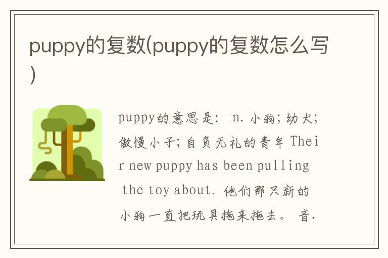 puppy的复数(puppy的复数怎么写)-图1