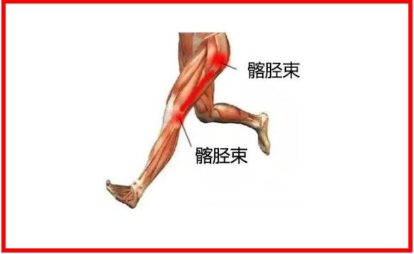 筋膜枪使用教程：大腿前后肌肉的放松方法-图3