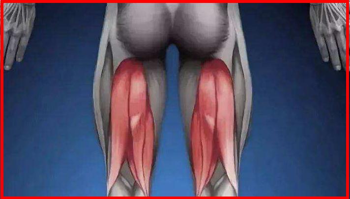 筋膜枪使用教程：大腿前后肌肉的放松方法-图4