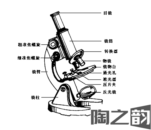 显微镜的使用方法-图1