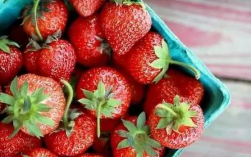 草莓存放需要放冰箱,草莓能放冰箱里冷藏 保鲜几天