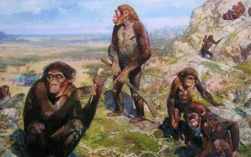 人类祖先是森林古猿吗（人类祖先的进化历程）