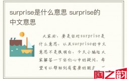 surprise是什么意思 surprise的中文意思