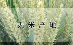 中国大米发源地,米起源于哪里
