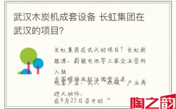 武汉木炭机成套设备 长虹集团在武汉的项目？