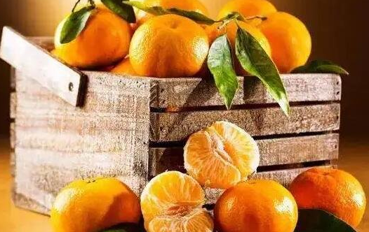 上供最好的五种水果（苹果/橘子/桃/香蕉/橙子）-图2